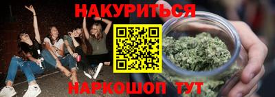 сатива Ставрополь