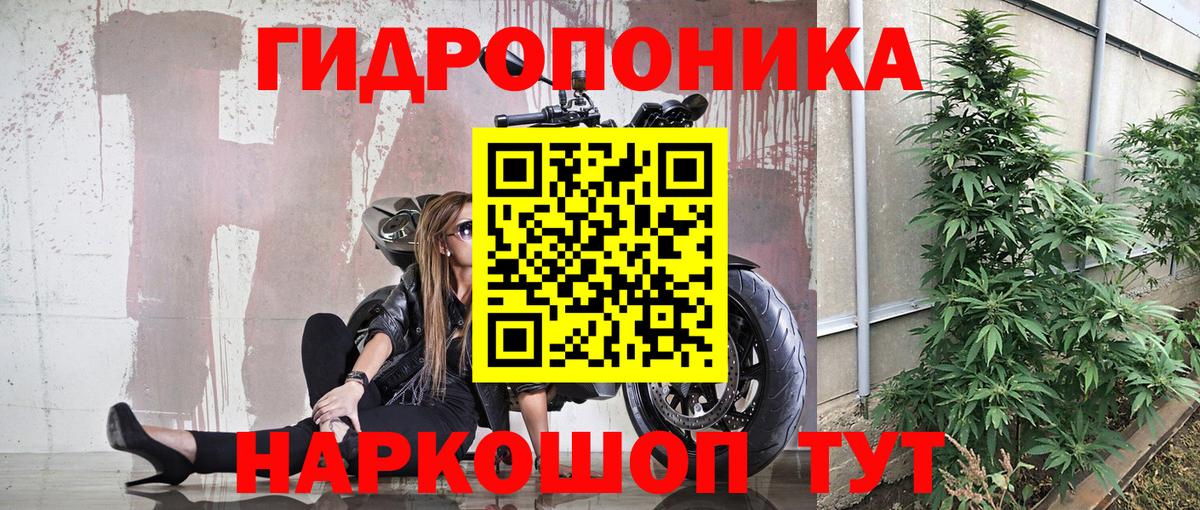 Канабис Amnesia  Вход с VPN  Конопля Bruce Banner  Канабис THC 21%  Павлово 